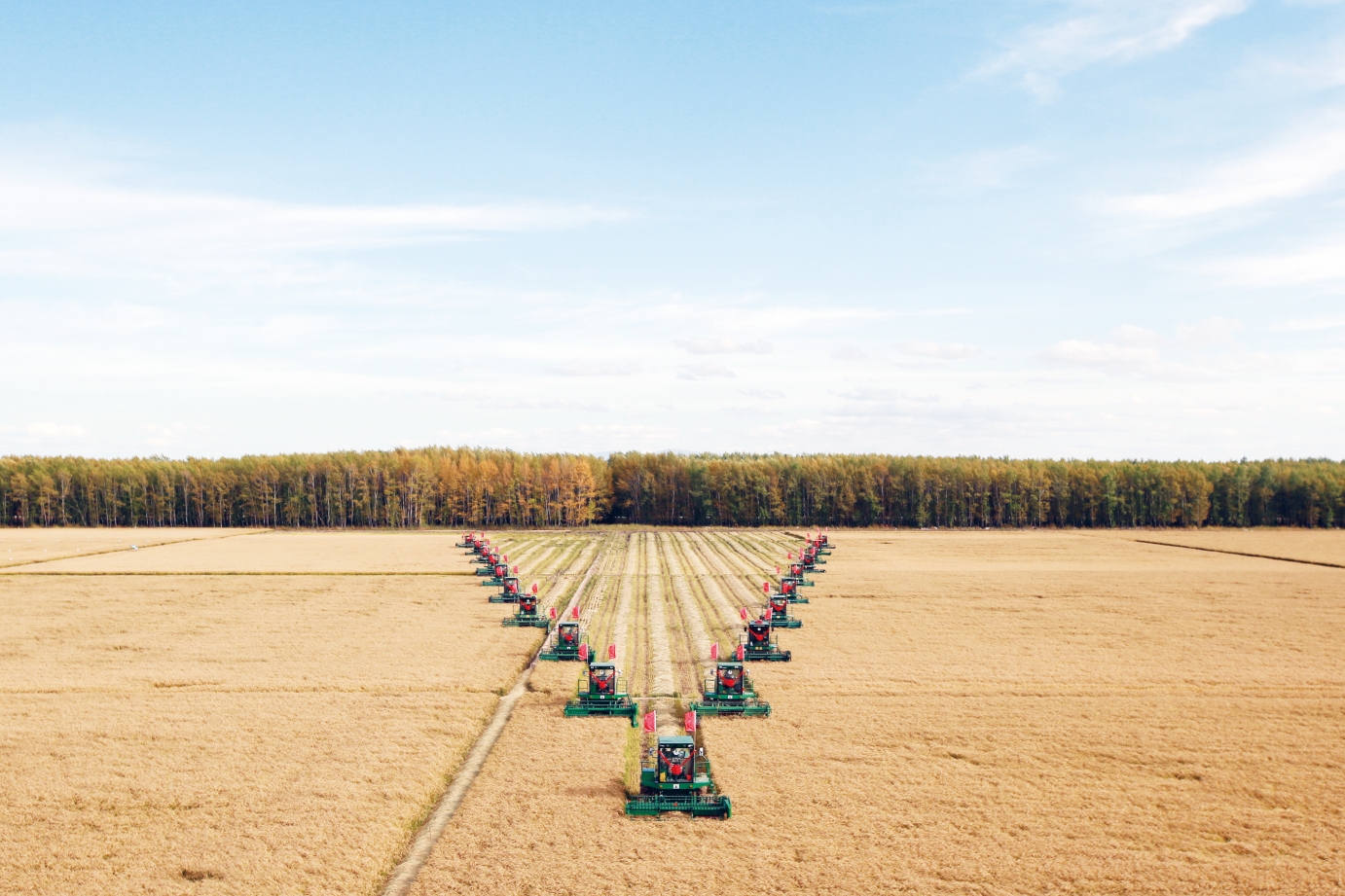 服務(wù)種業(yè)發(fā)展 保障糧食安全