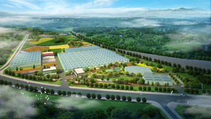 加強國際交流合作，推進花卉種業(yè)再上新臺階